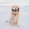 Benebone Maplestick (Maple Large)