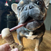 Tall Tails Treat Bone Chew Dog Toy (Large)