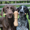 Tall Tails Treat Bone Chew Dog Toy (Large)