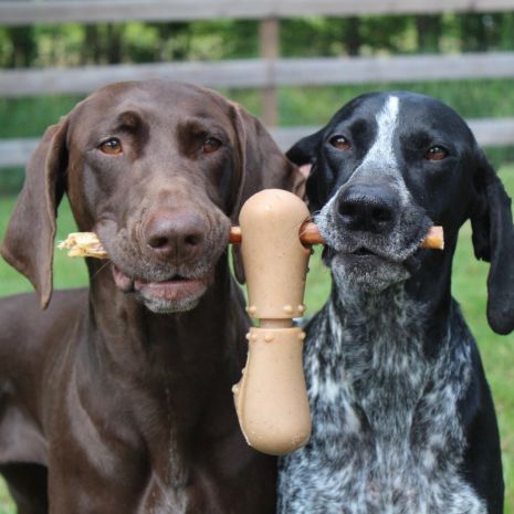 Tall Tails Treat Bone Chew Dog Toy (Large)