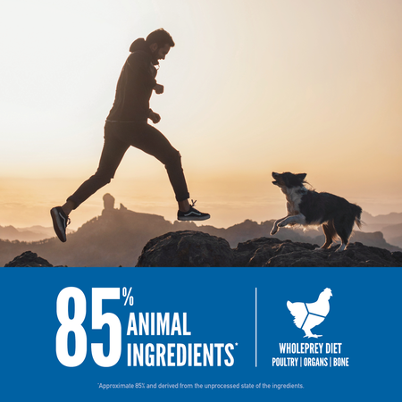 ORIJEN Original Dog Food (23.5-lb)