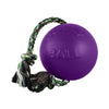 Jolly Pets Romp-N-Roll Toy (Purple - 8 inch)