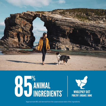 ORIJEN Six Fish Recipe Dog Food (13-lb)