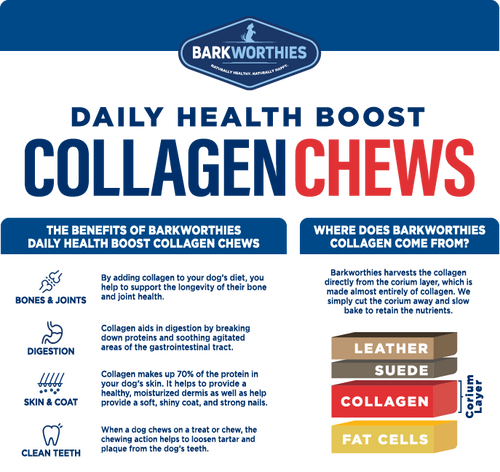 Barkworthies Collagen Beef Sticks for Dog (6 Bulk)