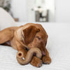 Benebone Tripe Bone Durable Dog Chew Toy (Large - Under 90 lbs)