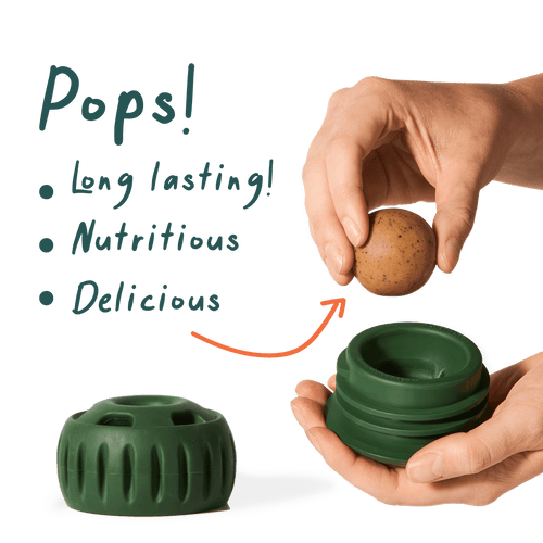 Woof Pupsicle Pops Dog Treats (Small Chicken)