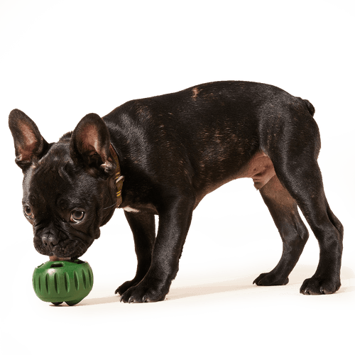 Woof Pupsicle Pops Dog Treats (Small Chicken)