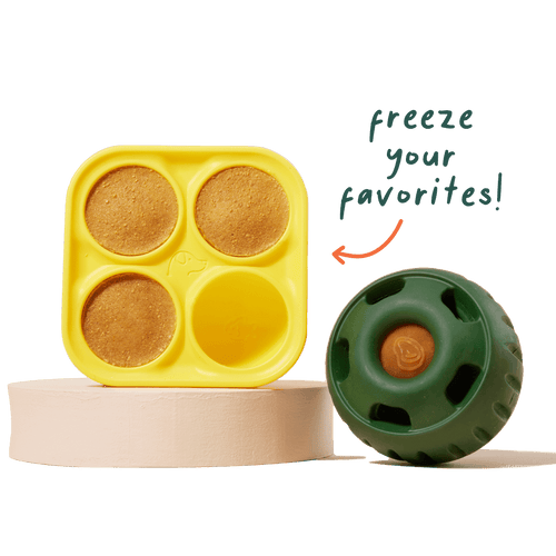 Woof Pupsicle Treat Tray (Large)