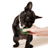 Woof Pupsicle Treat Tray (Large)