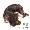 Woof Pupsicle Pops -Calming Treats (Large 7ct)