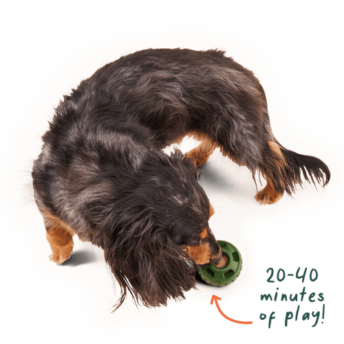 Woof Pupsicle Pops -Calming Treats (Large 7ct)