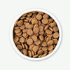 Earthborn Holistic Great Plains Feast™ Dog Food (12.5 lb)