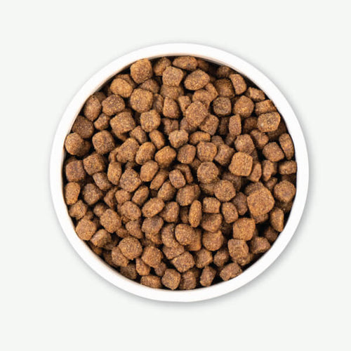 Earthborn Holistic Meadow Feast™ Dry Dog Food (4 lb)