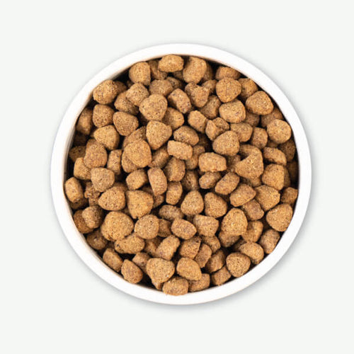 Earthborn Holistic Unrefined Roasted Rabbit Recipe Dry Dog Food (25 lb)