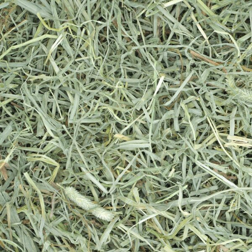 Oxbow Prime Cut Soft & Lush Hay (40 oz)