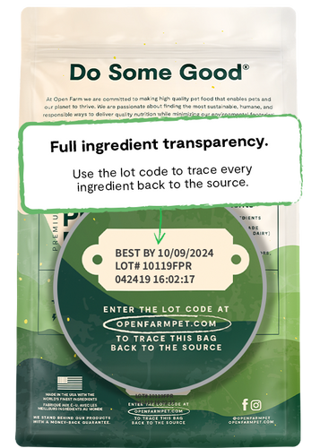 Open Farm Kind Earth Premium Plant Kibble Recipe Dry Dog Food (20 lb)