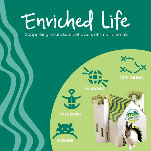 Oxbow Animal Health Enriched Life Celebration Heart (1  Count)