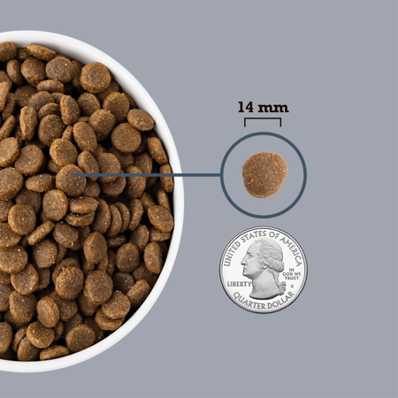 ACANA Light & Fit Recipe Dry Dog Food (25-lb)
