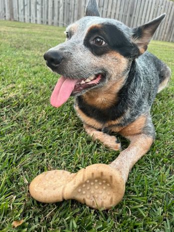 Tall Tails Wobbler Chew Dog Toy (Medium)