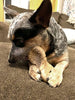 Tall Tails Wobbler Chew Dog Toy (Medium)
