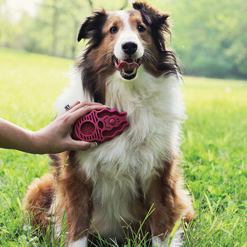 KONG ZoomGroom™ Raspberry Dog Grooming Brush (Large)