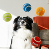 KONG Sport Softies Ball Assorted Dog Toy (Medium)