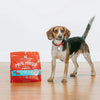 Stella & Chewy's Perfectly Puppy Beef & Salmon Meal Mixers (3.5 oz)