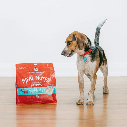 Stella & Chewy's Perfectly Puppy Beef & Salmon Meal Mixers (3.5 oz)