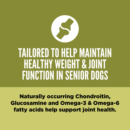 ORIJEN Senior Dry Dog Food (4.5-lb)