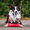 Ultimates Chicken Meal & Rice Dog Food (5 lb)