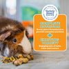 Oxbow Animal Health Forage Wise Adult Guinea Pig Food (4 LB)