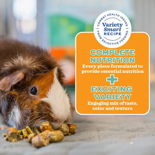 Oxbow Animal Health Forage Wise Adult Guinea Pig Food (4 LB)