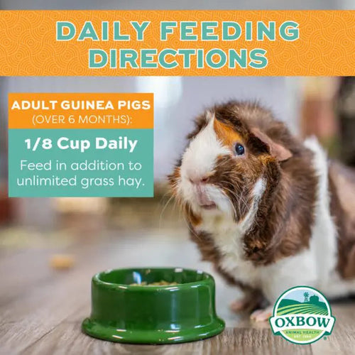 Oxbow Animal Health Forage Wise Adult Guinea Pig Food (4 LB)