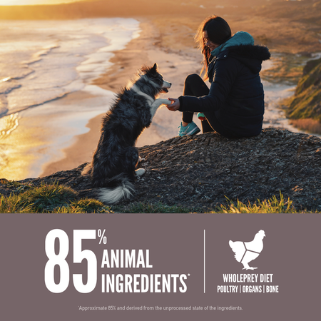 ORIJEN Grain Free Fit & Trim Dry Dog Food (4.5-lb)