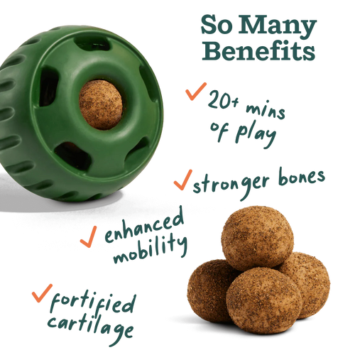 Woof Pupsicle Pops- Hip & Joint (Small 10ct)