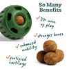 Woof Pupsicle Pops -Hip & Joint (Large 7ct )