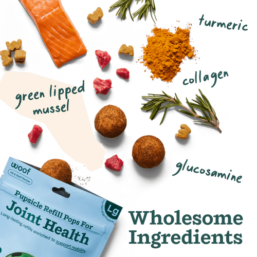 Woof Pupsicle Pops- Hip & Joint (Small 10ct)