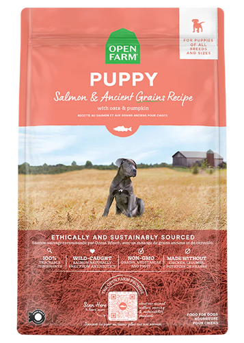 Open Farm Salmon & Ancient Grains Puppy Food (22 LB)