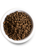 Open Farm Salmon & Ancient Grains Puppy Food (22 LB)