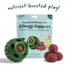 Woof Pupsicle Pops- Allergy & Immunity (X-Large 5 ct)