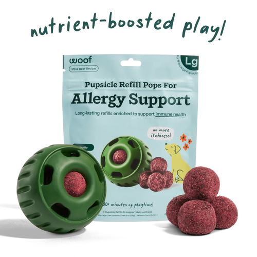 Woof Puspsicle Pops - Allergy & Immunity (Small 10ct)