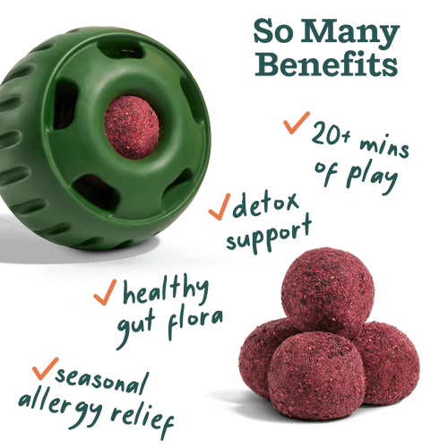 Woof Pupsicle Pops- Allergy & Immunity  (Large 7ct)