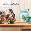 Woof Puspsicle Pops - Allergy & Immunity (Small 10ct)