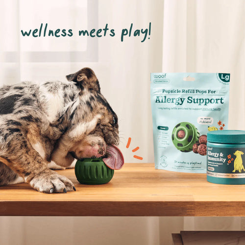 Woof Puspsicle Pops - Allergy & Immunity (Small 10ct)
