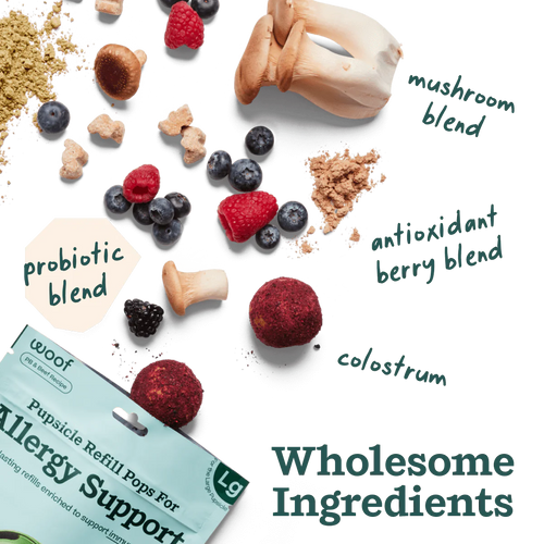 Woof Puspsicle Pops - Allergy & Immunity (Small 10ct)