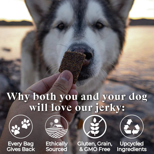 Otis Wild Things Salmon Recipe Jerky For Dogs (4 oz)