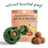 Woof Pupsicle Pops-All-in-1 Wellness (Large 7ct)
