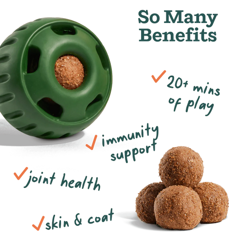 Woof Pupsicle Pops -All-in-1 Wellness (X-Large 5ct)
