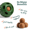 Woof Pupsicle Pops-All-in-1 Wellness (Large 7ct)
