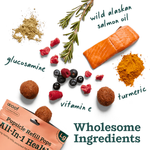 Woof Pupsicle Pops-All-in-1 Wellness (Large 7ct)